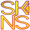 Skins.Gallery Logo